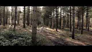 Showreel - Richard Otlet