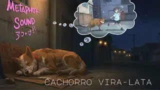 Cachorrinho Viralata 🐶 | Lofi MPB Bossa Nova Beat &ndash; Stray Dog&rsquo;s Dream of a Home (Chill Brazil Vibes)