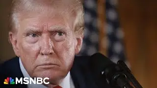 ‘Assault on the foundations of multi-racial democracy’: Journalist slams Trump admin’s arguments