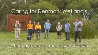 Caring for Denmark Wetlands ; Where agro-forestry meets conservation