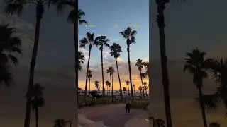 🌴🏖️ #floridaparadise #travel #floridavacation #clearwaterbeach #sunet #tampa #cat5 #hurricane