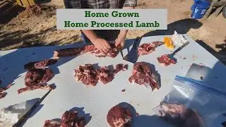 Sheep Processing Day