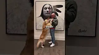 Why Joe Rogan Changed His Dog&rsquo;s Diet