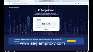 bp proxy switcher