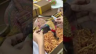 Premium Kerala-Themed Corporate Gift Box | Angroos Handicrafts