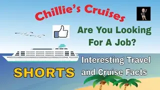 Are You Looking For A Job  #shorts  #travel  Interesting Travel and Cruise Facts