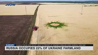 Russia occupies 22% of Ukraine farmland