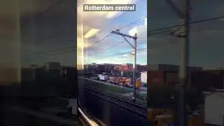 Rotterdam centrum              .                  .               .          . 🇳🇱🇳🇱🇳🇱