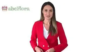International Flower Delivery by abcFlora.com