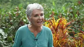 Galapagos Lodge - Enchanted Expeditions