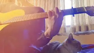 サザンオールスターズ　恋はお熱く　Cover　yoshie ギター弾き語りwith きなこ