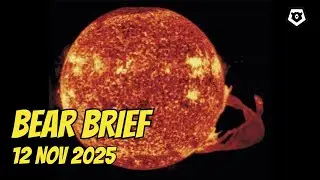 Angry Sun | Приостановка работы правительства | Армия США на Тихом океане | Медвежий брифинг 12 н...