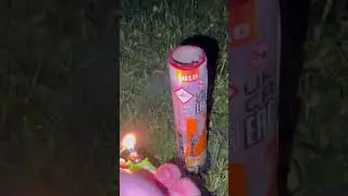 One shot JB10 - Jorge Red palm + crackling with Silver tail