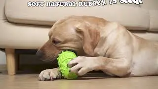 Best Pet Supplies Crinkle Dog Toy