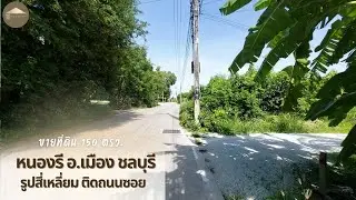 ที่ดิน 150 ตรว ใกล้รร.สารสาสน์ หนองรี อ.เมือง จ.ชลบุรี