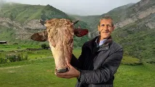 Recipe Of Cow Heads Delicacy | Soup that will improve your health Cowhead recipes