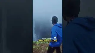 Aadrai Jungle Trek | Walk Through the Hidden Rainforest of Maharashtra | TrekAventure