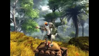 Krabbentanz Emote Crab Dance GW2 VOE