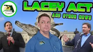 USARK FL NEWS Lacey Act Amendments, FWC Updates, Venomous Law, Central FL Croc