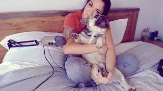 ASMR FRAN&Ccedil;AIS MASSAGE ET D&Eacute;GUSTATION AVEC MON CHIEN mouth sound