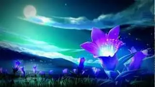 Singh Kaur - Spark In The Night [HD]