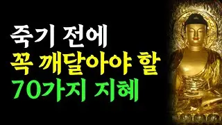 이것만 알아도 남은 인생이 평온해집니다 | 부처님의 삶의 가이드 70가지 총정리