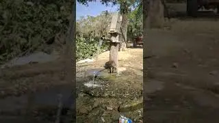 🙁24&times;7 automatic water fall down with this hand pump  ((( kinkel (Simdega district) )))
