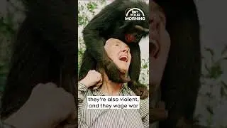 Chris Hadfield Shares Memories of Jane Goodall | Your Morning