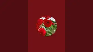 Rose cute Family is live cooking#cooking