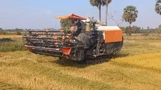 Collection Harvester Kubota DC-105X Processing Cropping Rice, How To Farmer Rice Cutting Machine