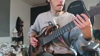 Djenting some djent riffs on a djenty djent guitar