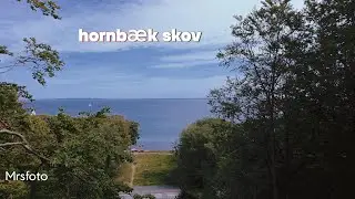 Hornb&aelig;k plantation and it is worth a visit #mrsfoto #2025 #fotograf #drone #djineo #hornb&aelig;k