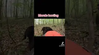 Morale hunting #Michigan#trending #viral #Outdoor adventure#Foraging#Rottweiler#Outdoor hike