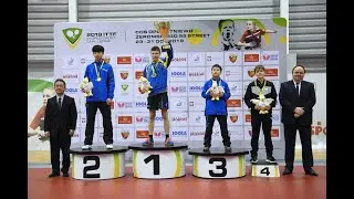 Darius Movileanu - Rise of a Table Tennis Champion