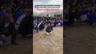 Super kurashdan lavha |#shorts |#kurash |#kurashi #duet |#surqash |#surxondaryo