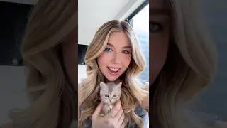 CAT NAMES I LOVE BUT DIDN&rsquo;T USE!