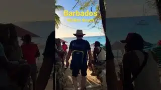 Barbados best Beaches ✨🏝☀️ Mullins Beach ✨ #shorts #barbados #beach