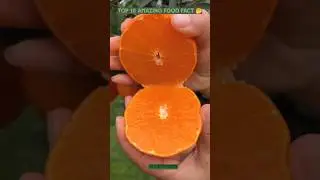 top 10 amazing food fact 🍎🥝 #facts #healthbenefits  #amazingfacts #shorts #ytshorts