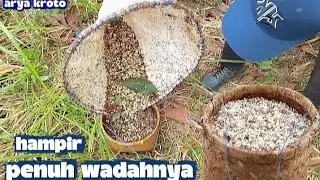 Mantap,,saking banyaknya di kusan sampek susah nuangnya,!! 