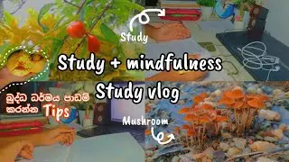 &ldquo;මගේ mindful study routine එක | Focus + Peaceful Study Vlog&rdquo;| සිංහල | learn with lohii| 🤍📚&hearts;️🍄🌛