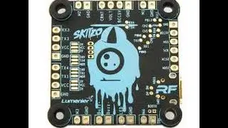 Lumenier QAVR Raceflight One Skitzo Revolt FC Stock Pids 2nd Flight