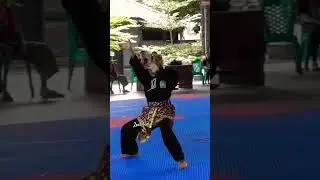 seni tunggal seleksi porprov #ipsi #pencaksilat #kejuaraanpencaksilat #keren #viral #shorts