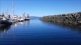 2017 bute inlet - Vancouver Island