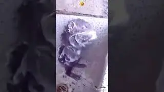 jangan lupa mandi