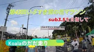 【第43回いぶすき菜の花マラソン】をだだ走り　-SUB3.5に挑戦-