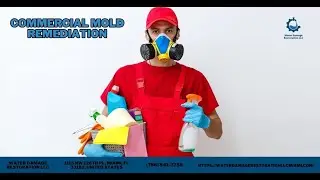 Commercial Mold Remediation | Water Damage Restoration LLC