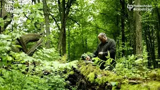 Katedra Hodowli i Użytkowania Lasu to miejsce, w którym natura spotyka się z nauką.