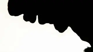 Video Templates | Black And White Transition