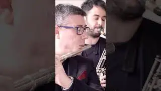 Jazz Flute Solo 🪈 Favela from Ant&ocirc;nio Carlos Jobim #jazzmusician   #latin  #bossanova