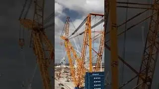 Top 5 Huge Cranes in the World: Giants Who Lift the Impossible! 🏗️💪 #shorts